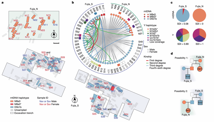 重大成果！Nature發(fā)表！